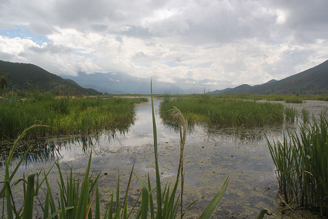 點(diǎn)擊圖片瀏覽大圖,滾動(dòng)鼠標(biāo)放大