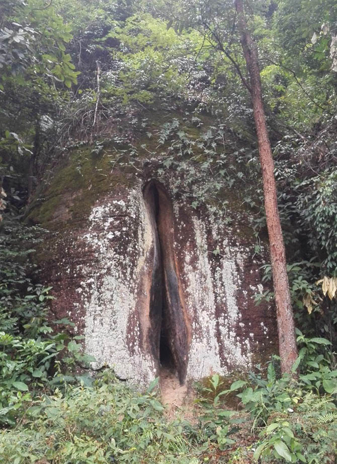 點擊圖片瀏覽大圖,滾動鼠標放大